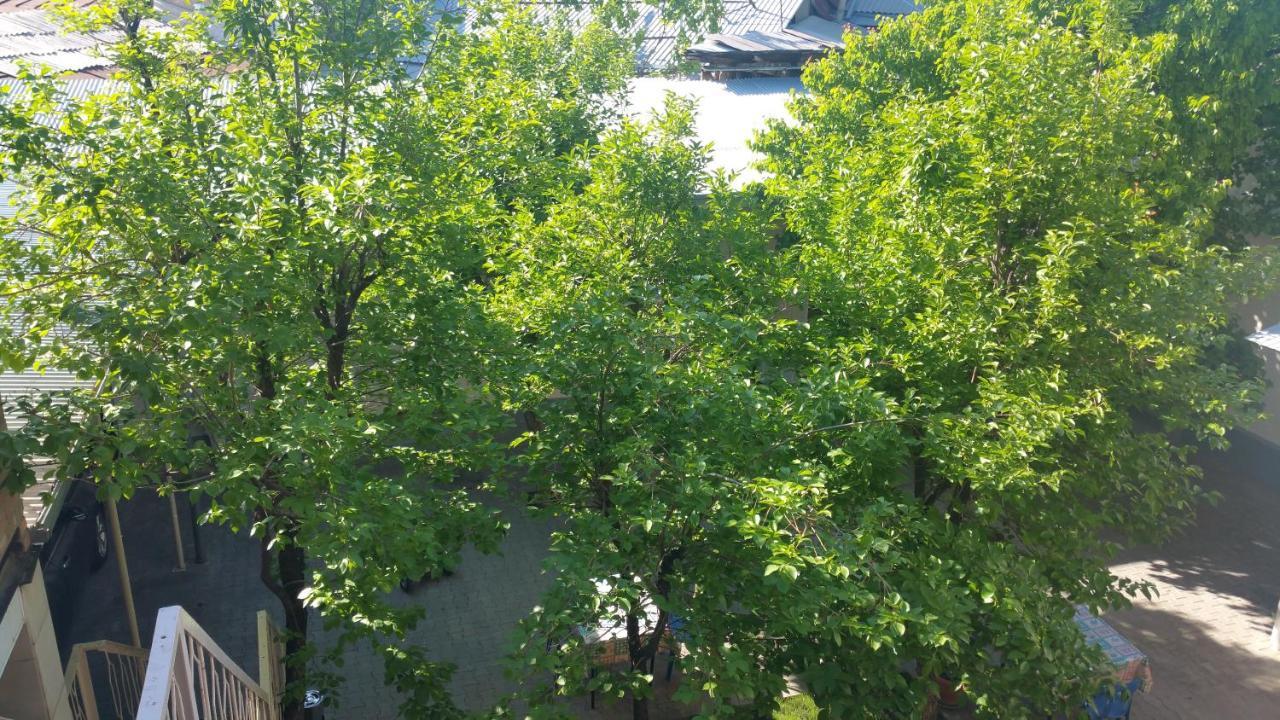 Gulnara Guesthouse Taškent Exteriér fotografie